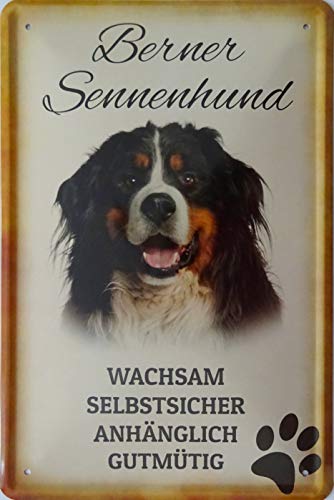 vielesguenstig-2013 Blechschild Schild 20x30cm - Berner Sennenhund Hund Haustier Freund Familie Garten von vielesguenstig-2013