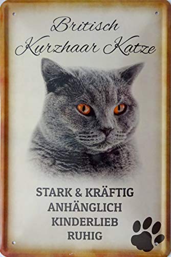 vielesguenstig-2013 Blechschild Schild 20x30cm - Britisch Kurzhaar Katze Haustier Freund Familie von vielesguenstig-2013