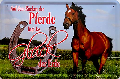 vielesguenstig-2013 Blechschild Schild 20x30cm - Das Glück der Erde liegt auf dem Rücken der Pferde reiten Freiheit Freund von vielesguenstig-2013