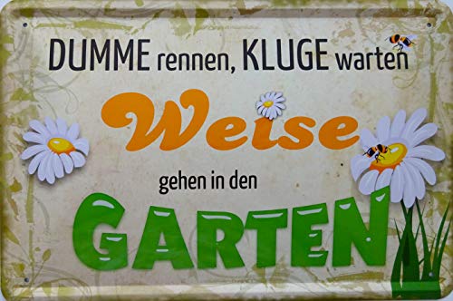 vielesguenstig-2013 Blechschild Schild 20x30cm - Dumme rennen Kluge warten Weise in den Garten Haut Gärtner von vielesguenstig-2013
