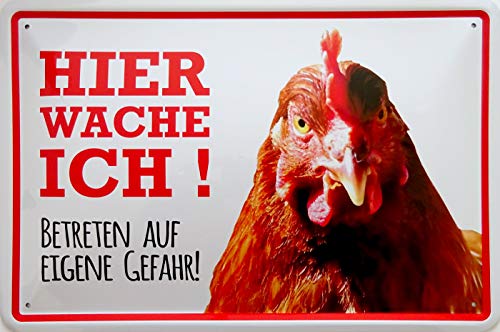 vielesguenstig-2013 Blechschild Schild 20x30cm gewölbt - Hier wache ich Huhn Hahn Bauenhof Hof Eier vielesguenstig-2013 Blechschild Schild 20x30cm gewölbt - Hier wache ich Huhn Hahn Bauenhof Hof Eier von vielesguenstig-2013