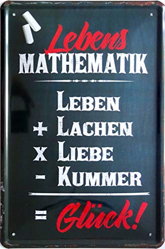 vielesguenstig-2013 Blechschild Schild 20x30cm - Lebens Mathematik Lieben Leben Lachen Kummer Glück von vielesguenstig-2013