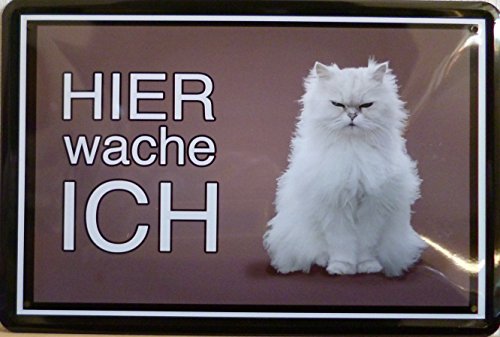 vielesguenstig-2013 Blechschild Schild - Katze weiß Haustier von vielesguenstig-2013