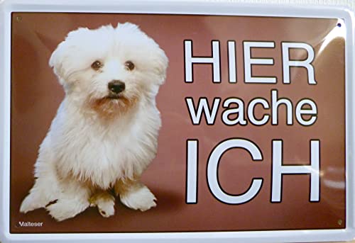 Blechschild Schild 20x30cm - Hier wache ich Malteser Hund Haustier Freund Haus von vielesguenstig by Robby Wanka