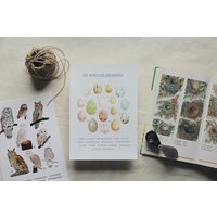 Vogel Eier - Illustration, Kunstdruck, Wandkunst, Wohndekor, Digitaler Kunstdruck von visufon