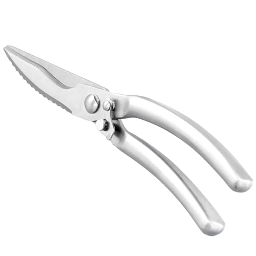 volumoon Geflügelschere, 25 cm Edelstahl Fleischschere mit Langem Griff, Robust Mehrzweck Haushaltsschere für Gemüse, Professionelle Küchenschere Poliert für Fleisch, Knochen, Huhn, Gans (Silber) volumoon Geflügelschere, 25 cm Edelstahl Fleischschere mit Langem Griff, Robust Mehrzweck Haushaltsschere für Gemüse, Professionelle Küchenschere Poliert für Fleisch, Knochen, Huhn, Gans (Silber) von volumoon