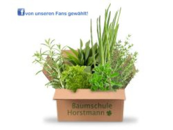 Küchenkräuterpaket, von Kunden & Facebook-Fans kreiert, Topfware von von Kunden & Facebook-Fans kreiert