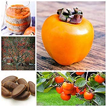 10 PC/Beutel Exotische Persimmon Obstbaum im Freien Non-GMO Juicy Bonsai Topf Diospyros Kaki Fruta Planta Hausgarten von vonly