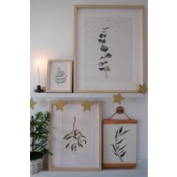 Aquarell Eukalyptus | Poster Aquarell Eukalyptus | Poster von vonmela