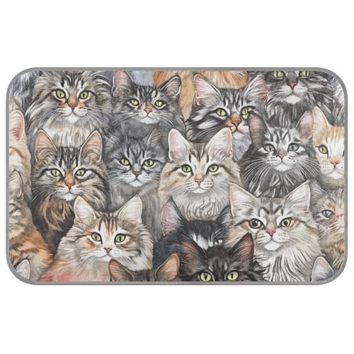 Cartoon Maine Cats Katzenbett, selbstkühlend, 96,5 x 58,4 cm, für den Außenbereich, für Haustiere, Innen, einzigartig, Cama Fria Para Perro, M von voucong