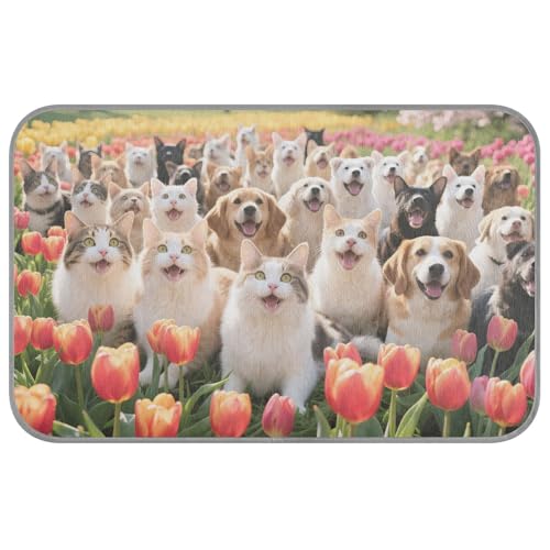 Kühlmatte für Hunde mit Blumenmotiv, für den Sommer, selbstkühlend, 96,5 x 58,4 cm, kühlende Matten für Hunde im Freien, niedliches Cama Fria Para Perro, M Kühlmatte für Hunde mit Blumenmotiv, für den Sommer, selbstkühlend, 96,5 x 58,4 cm, kühlende Matten für Hunde im Freien, niedliches Cama Fria Para Perro, M von voucong
