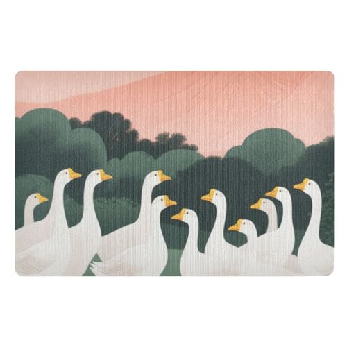 voucong Schmutzfangmatte, Motiv: Gans, Cartoon, 81,3 x 50,8 cm, rutschfest, saugfähig, für Terrasse, Veranda voucong Schmutzfangmatte, Motiv: Gans, Cartoon, 81,3 x 50,8 cm, rutschfest, saugfähig, für Terrasse, Veranda von voucong