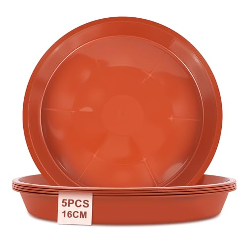 vsshe 5 Stück Blumentopf Untersetzer, Untersetzer für Blumentöpfe, Blumentopfmatte, Kunststoff Blumenuntersetzer Rund aus Ø 16 cm, Blumentopfuntersetzer für Innen- und Außenpflanzen, Rot von vsshe