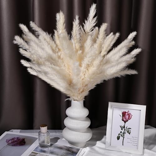 Pampasgras Getrocknet, 30 Stück Set Natürliche Trockenblumen, Weiß Pampasgras Flauschige Wedel, 17inch Pampasgras Groß, Lagurus und Schilfblume Getrocknete Blumen für Boho Deko, Heim Decor von vvhippo