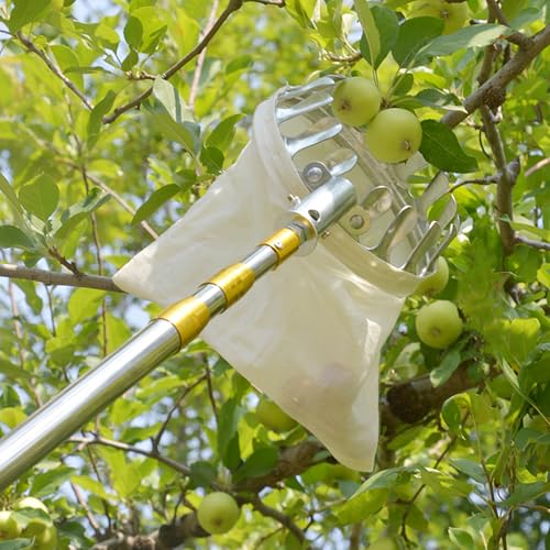 Obstpflücker mit Teleskopstiel Apfelpflücker aus Edelstahl Kirschenpflücker mit Beutel Obstsammler Diameter 15 cm Pflaumenpflücker Obstgreifer Einfach zu Montieren von walisk