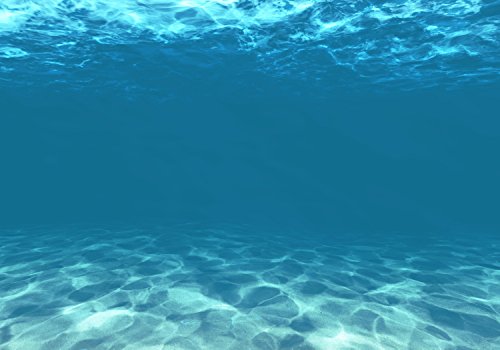 wandmotiv24 Fototapete Hellblau unter Wasser, XL 350 x 245 cm - 7 Teile, Wanddeko, Wandbild, Wandtapete, Unterwasser, Blau, Meer M1053 von wandmotiv24
