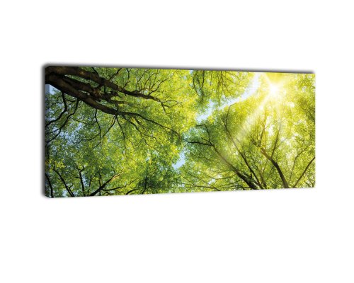 wandmotiv24 Leinwandbild Panorama Nr. 339 Baumkronen 100x40cm, Keilrahmenbild, Bild auf Leinwand, Wald Natur Geäst von wandmotiv24