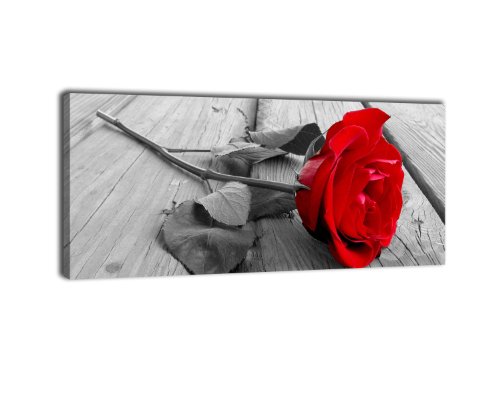 wandmotiv24 Leinwandbild Panorama Nr. 53 Rose 100x40cm, Keilrahmenbild, Bild auf Leinwand, Kunstdruck Rose rot Liebe von wandmotiv24