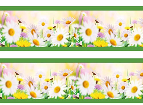 wandmotiv24 Bordüre Daisyfield 260cm Breite - Vlies Borte Tapetenbordüre Bordüren Borde Wandborde Gänseblümchen Blumen Sommer M0030 von wandmotiv24