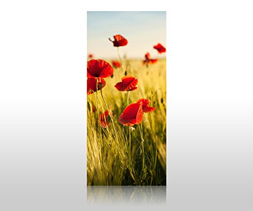 wandmotiv24 Duschrückwand Kornfeld mit Mohnblumen 90 x 200cm (B x H) - Acrylglas 4mm M0398 von wandmotiv24