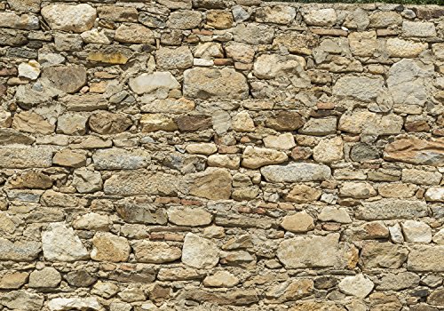 wandmotiv24 Fototapete Alte Steinmauer, 200 x 140cm - selbstklebende Vliestapete 150g, Wanddeko, Wandbild, Wandtapete, Wand, Steine M0939 von wandmotiv24