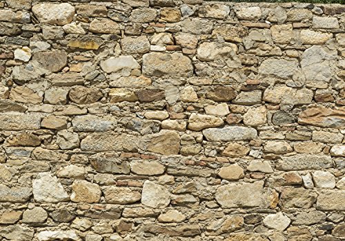 wandmotiv24 Fototapete Alte Steinmauer, XL 350 x 245 cm - 7 Teile, Wanddeko, Wandbild, Wandtapete, Wand, Steine M0939 von wandmotiv24