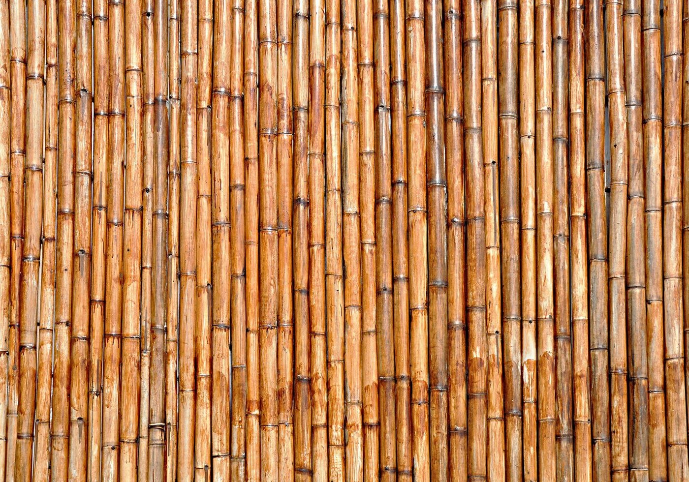 wandmotiv24 Fototapete Bambus Holz Natur, strukturiert, Wandtapete, Motivtapete, matt, Vinyltapete, selbstklebend von wandmotiv24
