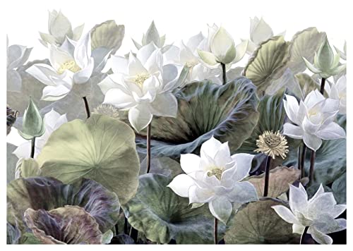 wandmotiv24 Fototapete Blüten Malerei Natur Blätter, L 300 x 210 cm - 6 Teile, Wanddeko, Wandbild, Wandtapete, Lotus Blumen Vintage grün weiß M6849 von wandmotiv24