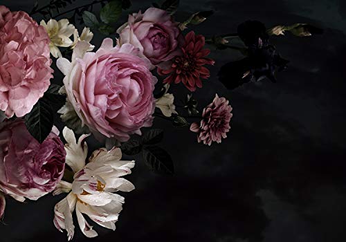 wandmotiv24 Fototapete Blumen Blüten Rosa, L 300 x 210 cm - 6 Teile, Wanddeko, Wandbild, Wandtapete, Pflanzen Schwarz M5867 von wandmotiv24