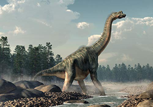 wandmotiv24 Fototapete Brachiosaurus Dino im Wasser, 200 x 140cm - selbstklebende Strukturtapete, Wanddeko, Wandbild, Wandtapete, Dinosaurier Natur M6019 von wandmotiv24