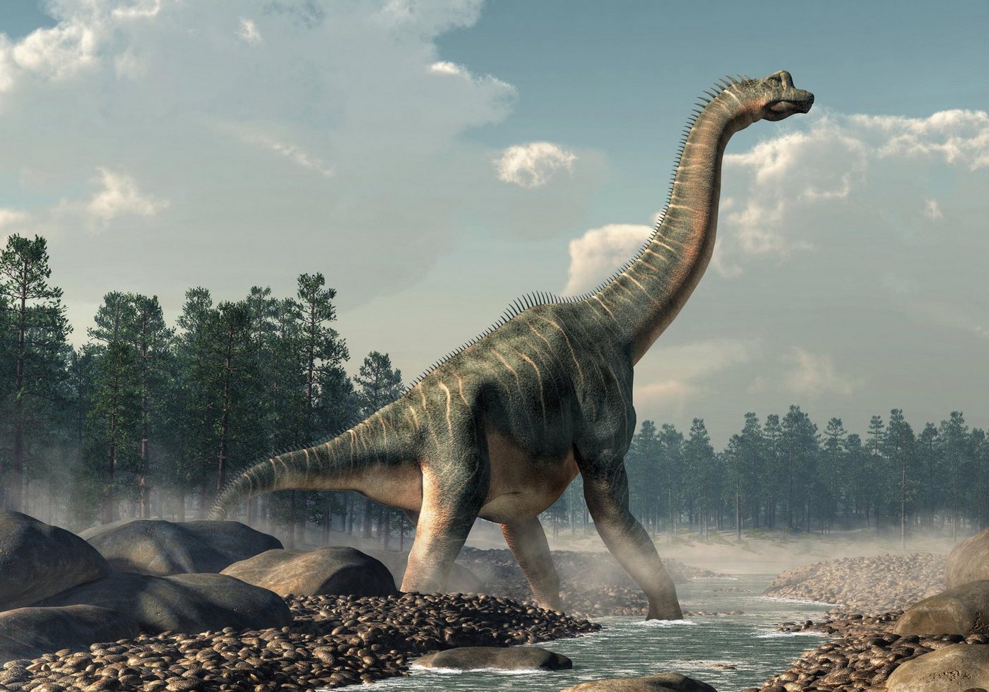 wandmotiv24 Fototapete Brachiosaurus Dino im Wasser, strukturiert, Wandtapete, Motivtapete, matt, Vinyltapete, selbstklebend von wandmotiv24