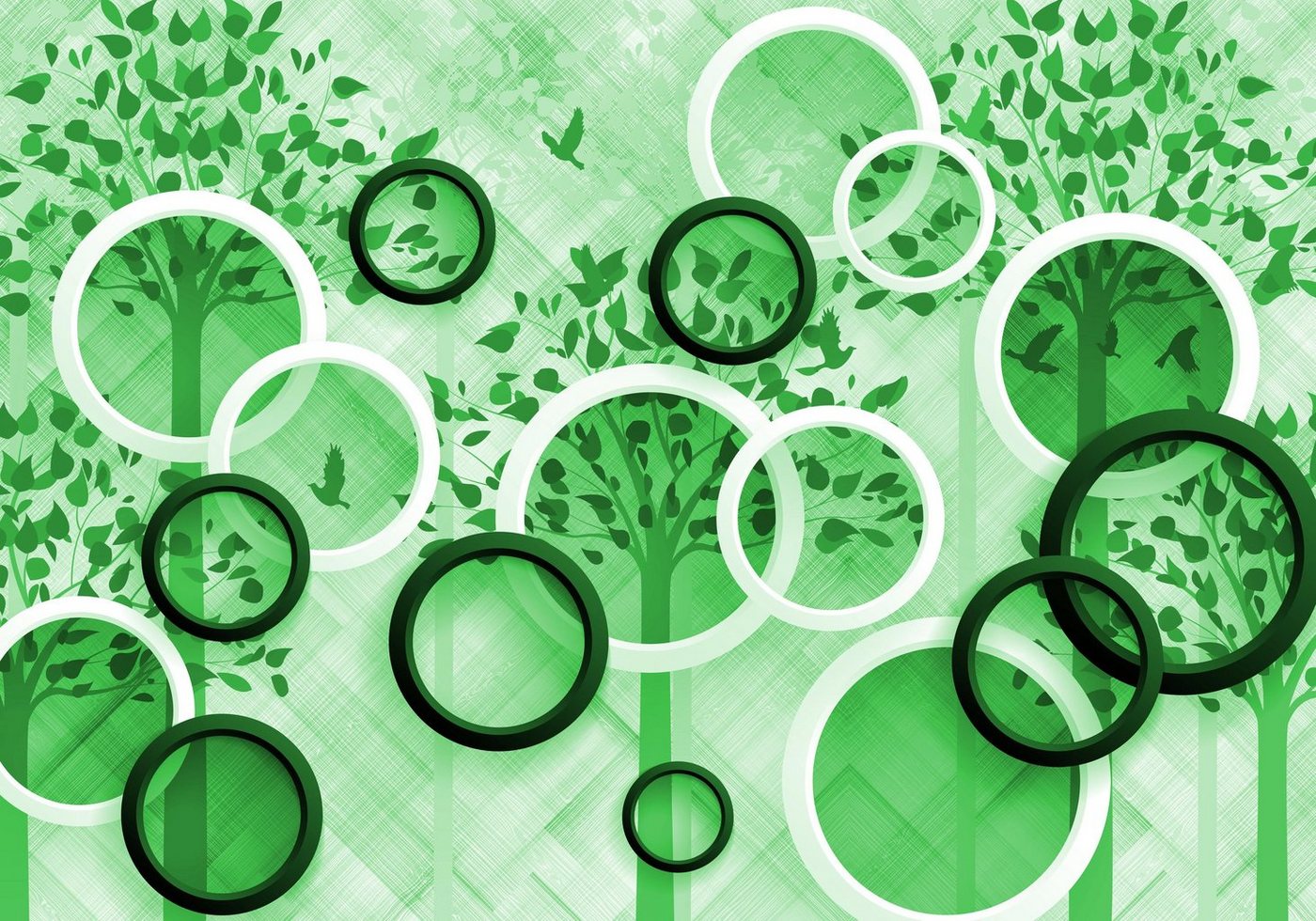 wandmotiv24 Fototapete Grün Wald blätter Vögel 3D Kreise, strukturiert, Wandtapete, Motivtapete, matt, Vinyltapete, selbstklebend von wandmotiv24