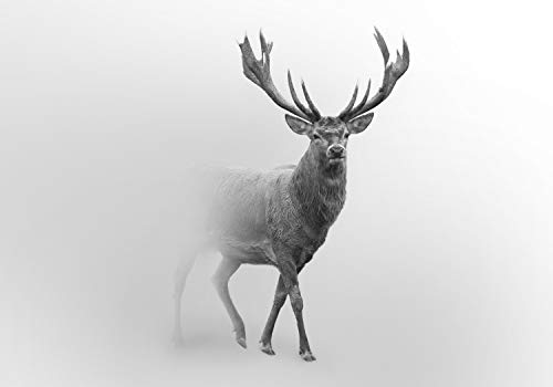 wandmotiv24 Fototapete Hirsch im Nebel, 200 x 140cm - selbstklebende Vliestapete 150g, Wanddeko, Wandbild, Wandtapete, Tier Grau M5910 von wandmotiv24