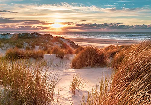 wandmotiv24 Fototapete Strand Dünen Meer Sonne, XXL 400 x 280 cm - 8 Teile, Wanddeko, Wandbild, Wandtapete, Sand Himmel Niederlande Wolken Gras M6755 von wandmotiv24