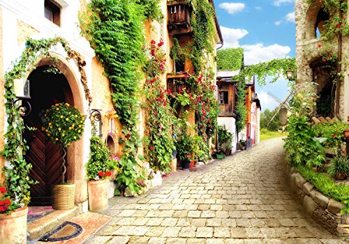 wandmotiv24 Fototapete Strasse Stadt Pflanzen, XXL 400 x 280 cm - 8 Teile, Wanddeko, Wandbild, Wandtapete, Stein-weg, Dorf-Gasse, Fresko M1099 wandmotiv24 Fototapete Strasse Stadt Pflanzen, XXL 400 x 280 cm - 8 Teile, Wanddeko, Wandbild, Wandtapete, Stein-weg, Dorf-Gasse, Fresko M1099 von wandmotiv24