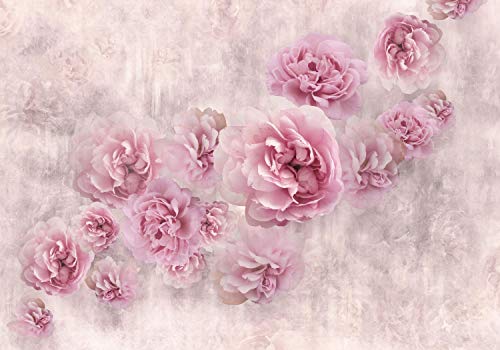 wandmotiv24 Fototapete rosa Rosen Betonwand alt, S 200 x 140cm - 4 Teile, Wanddeko, Wandbild, Wandtapete, M4678 von wandmotiv24