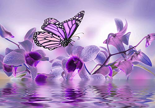 wandmotiv24 Fototapete violett Orchidee, M 250 x 175 cm - 5 Teile, Wanddeko, Wandbild, Wandtapete, Blumen, Wasser, Schmetterling M3739 von wandmotiv24