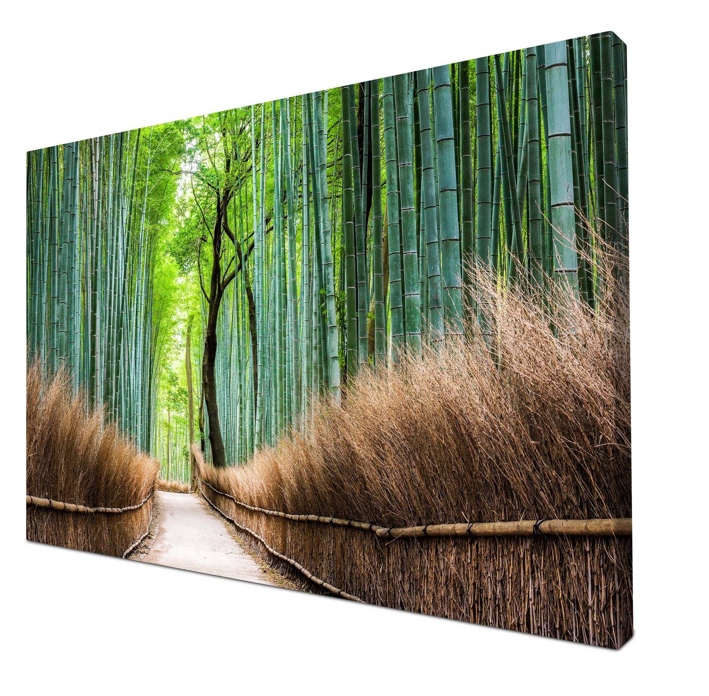 wandmotiv24 Leinwandbild Bambus Weg Wald Zaun, Wald (1 St), Wandbild, Wanddeko, Leinwandbilder in versch. Größen von wandmotiv24