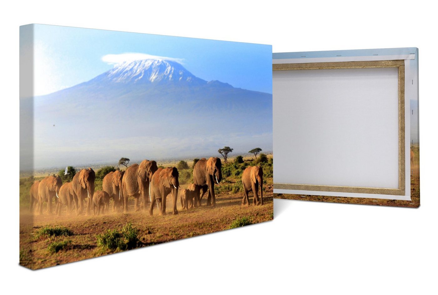 wandmotiv24 Leinwandbild Elefantenherde am Kilimandscharo, Tiere (1 St), Wandbild, Wanddeko, Leinwandbilder in versch. Größen von wandmotiv24