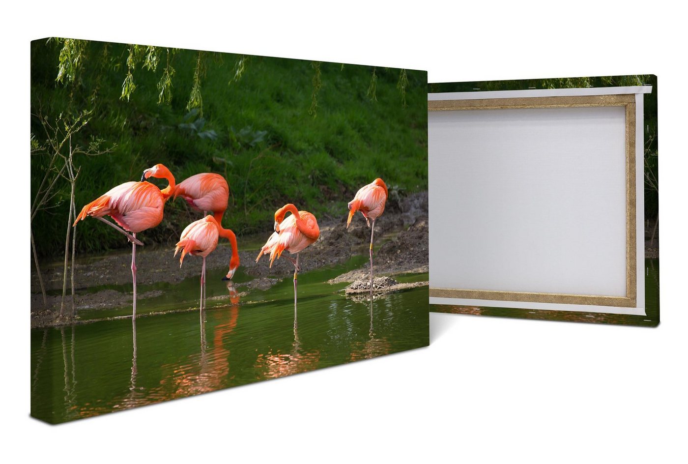wandmotiv24 Leinwandbild Flamingos in einem Pool, Tiere (1 St), Wandbild, Wanddeko, Leinwandbilder in versch. Größen von wandmotiv24