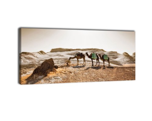 wandmotiv24 Leinwandbild Panorama Nr. 285 Karavane 100x40cm, Keilrahmenbild, Bild auf Leinwand, Kamel Wüste Sand von wandmotiv24