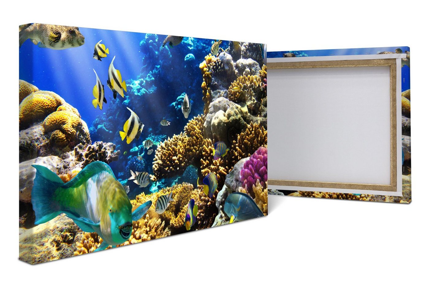 wandmotiv24 Leinwandbild Unterwasser, Unterwasser (1 St), Wandbild, Wanddeko, Leinwandbilder in versch. Größen von wandmotiv24