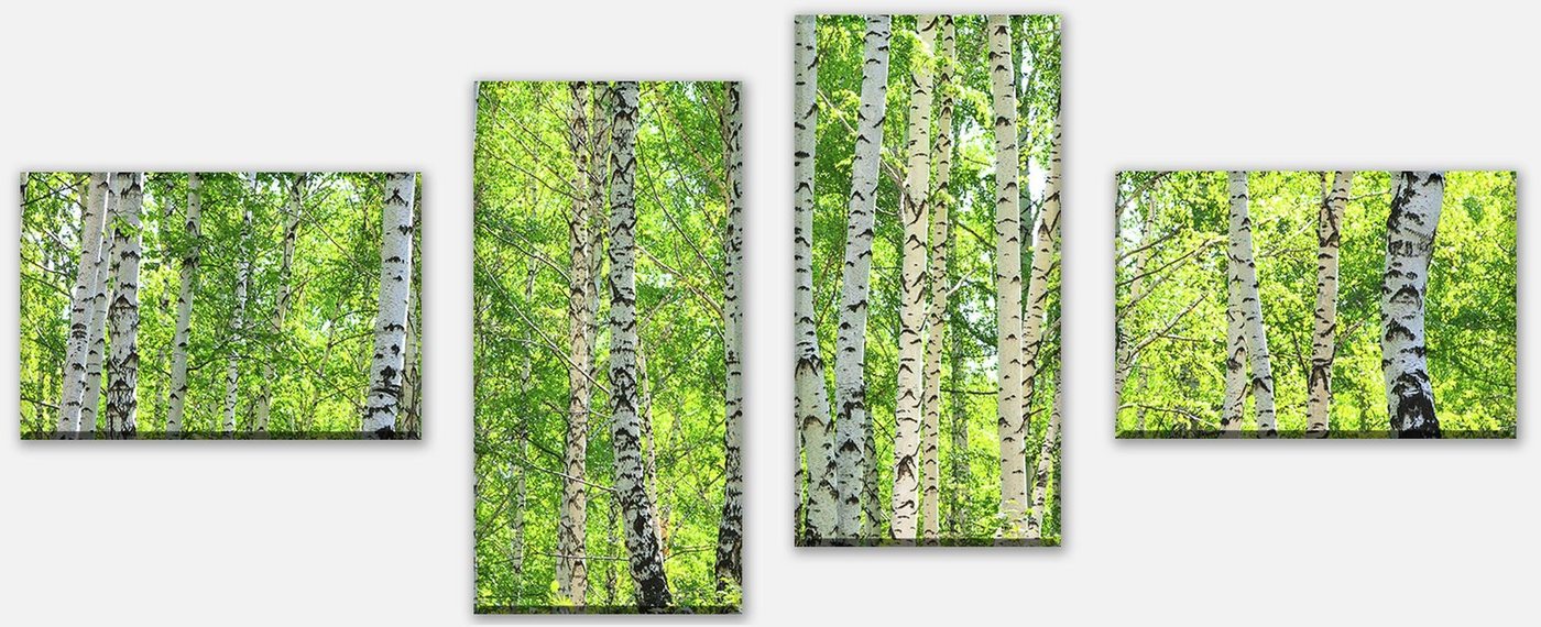 wandmotiv24 Mehrteilige Bilder Birkenwald, Blumen und Pflanzen (Set, 4 St), Wandbild, Wanddeko, Leinwandbilder in versch. Größen von wandmotiv24