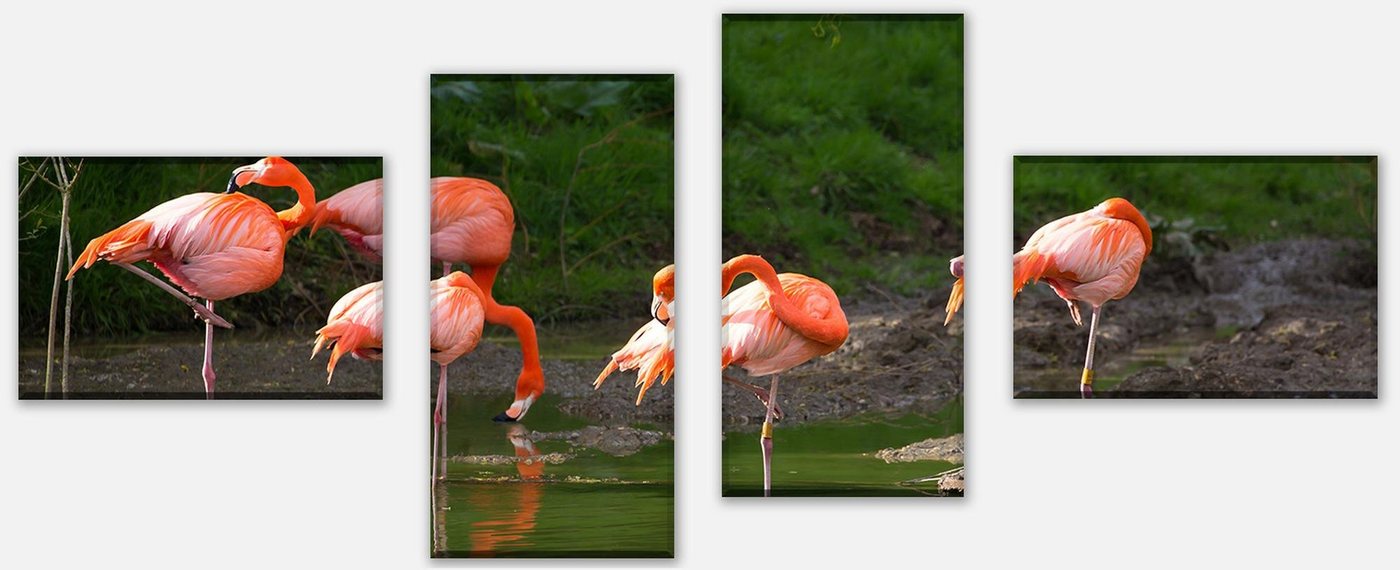wandmotiv24 Mehrteilige Bilder Flamingos in einem Pool, Tiere (Set, 4 St), Wandbild, Wanddeko, Leinwandbilder in versch. Größen von wandmotiv24