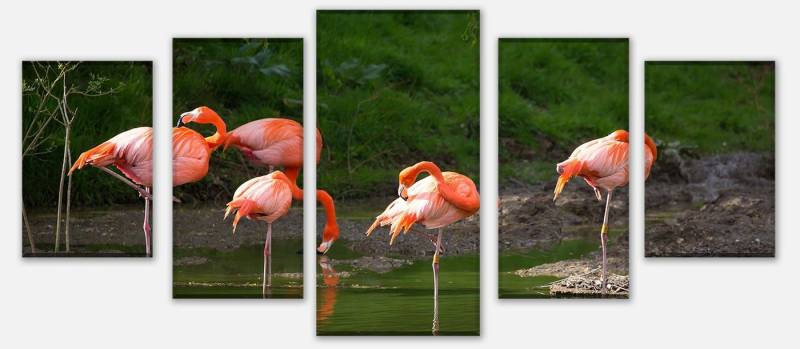 wandmotiv24 Mehrteilige Bilder Flamingos in einem Pool, Tiere (Set, 5 St), Wandbild, Wanddeko, Leinwandbilder in versch. Größen von wandmotiv24