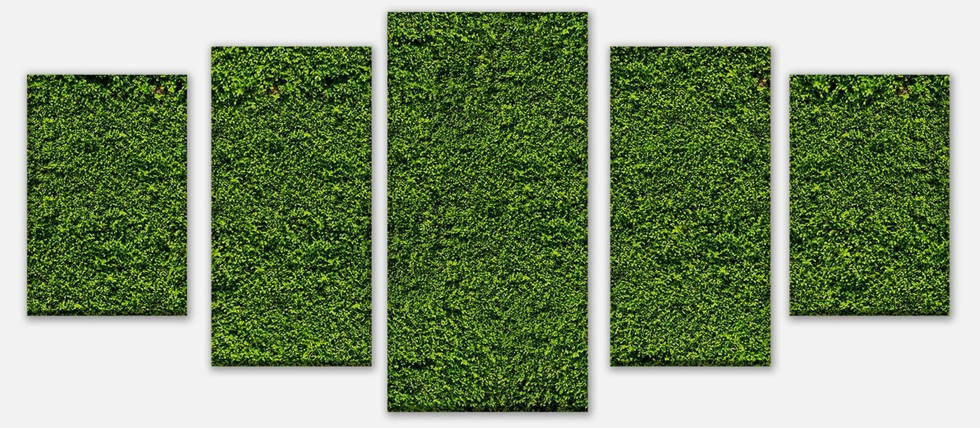 wandmotiv24 Mehrteilige Bilder Grüne Mauer, Blumen und Pflanzen (Set, 5 St), Wandbild, Wanddeko, Leinwandbilder in versch. Größen von wandmotiv24