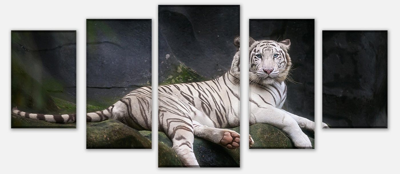 wandmotiv24 Mehrteilige Bilder Weißer Tiger sitzt in der Höhle, Tiere (Set, 5 St), Wandbild, Wanddeko, Leinwandbilder in versch. Größen von wandmotiv24