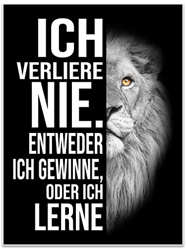 wandmotiv24 Poster als Wanddeko, Größe 80x60cm, Verlieren oder gewinnen, Löwe, Moderne Wanddeko, Wandbilder, Deko, Bild M0091 wandmotiv24 Poster als Wanddeko, Größe 80x60cm, Verlieren oder gewinnen, Löwe, Moderne Wanddeko, Wandbilder, Deko, Bild M0091 von wandmotiv24