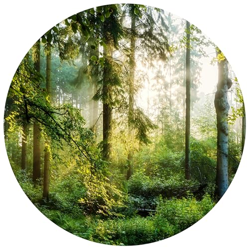wandmotiv24 Runde Fototapete Wald Wiese Bäume, selbstklebendes Vlies 150g - Extra-Groß - (200x200cm) M0060 von wandmotiv24