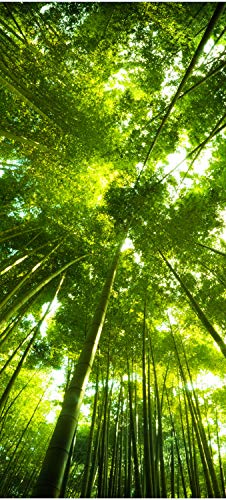 wandmotiv24 Türtapete Bambus Wald 90 x 200cm (B x H) - Dekorfolie selbstklebend Sticker für Türen, Türfolie, Aufkleber, M0338 von wandmotiv24